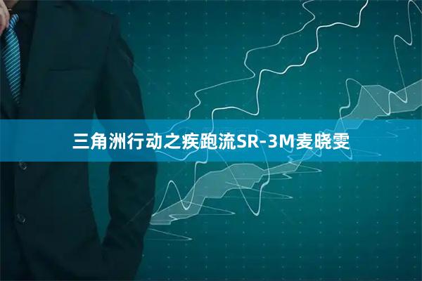 三角洲行动之疾跑流SR-3M麦晓雯