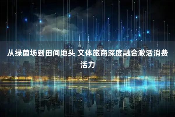 从绿茵场到田间地头 文体旅商深度融合激活消费活力