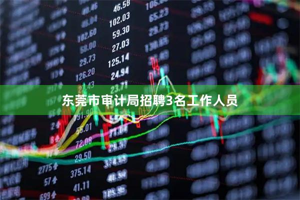 东莞市审计局招聘3名工作人员
