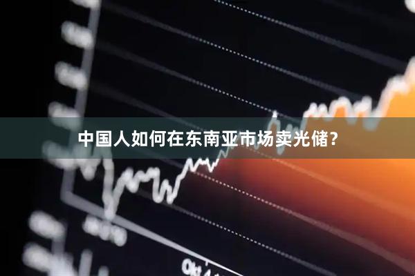 中国人如何在东南亚市场卖光储？