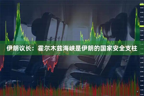 伊朗议长:霍尔木兹海峡是伊朗的国家安全支柱